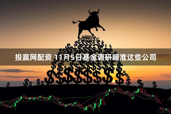 投赢网配资 11月5日基金调研瞄准这些公司